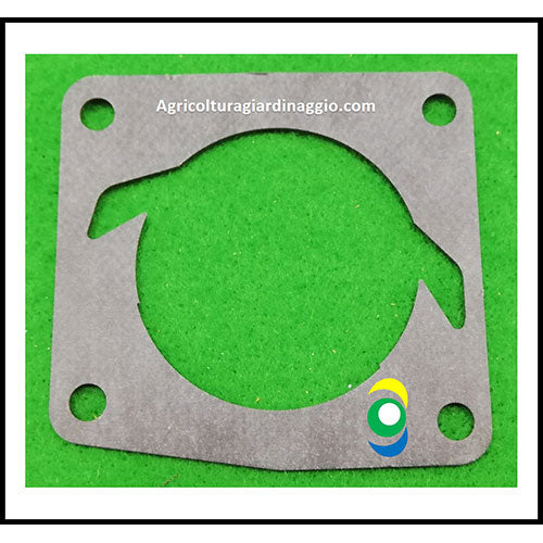 guarnizione cilindro motosega Active 28.28 31.31 Ibea 3000 ricambi agricolturagiardinaggio.com